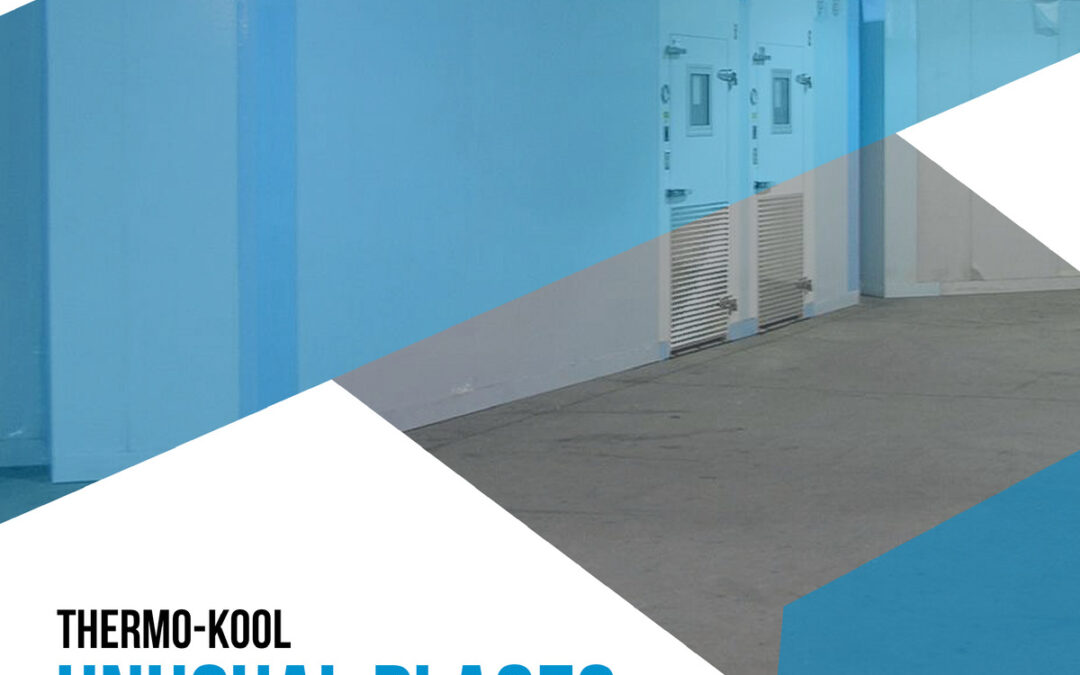 Thermo-Kool Unusual Places